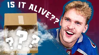 WHAT'S IN THE BOX??? | Avalanche Edition