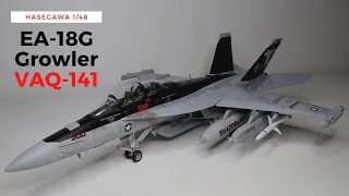 Hasegawa 1/48th VAQ-141 "Shadowhawks" EA-18G Growler speed build.