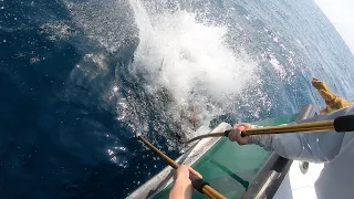 100 POUND TUNA BREAKS GAFF (Oregon Inlet Yellowfin)