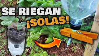 NO RIEGUES MÁS tus PLANTAS !! 3 Sistemas RIEGO AUTOMÁTICO CASERO por Goteo + Maceta Autorriego