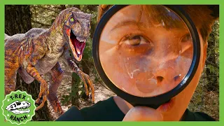 Can You Find All the Dinosaurs? Scavenger Hunt! | T-Rex Ranch Dinosaur Videos for Kids