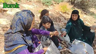 Going to the mountains to pick medicinal plants and herbs | Rural and nomadic lifestyle in Iran 2023