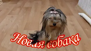 Семья из Мариуполя. Новый имидж. #мариупольвидео