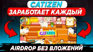 CATIZEN - ЗАРАБОТОК 1000$ В ТЕЛЕГРАМ БЕЗ ВЛОЖЕНИЙ | AIRDROP ТОКЕНОВ | NOTCOIN 2.0