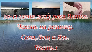 10 -11 Июня 2023 река Вятка. Чехонь на резинку. Сопа, Лещ и Язь.  Часть 1.