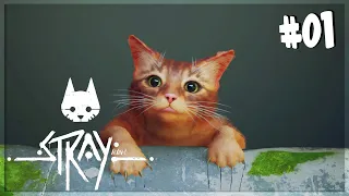 Our New Adventure As A Cat! | Stray | Episode 1