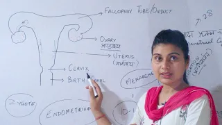 Reproduction | Female Reproductive System in hindi | Fertilization | Menstrual Cycle |Female Hormone