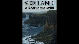 Шотландия: дикий год / Scotland: A Wild Year Серия 3 Осень / Autumn