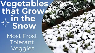 10 Most Cold Hardy Veggies You can Grow in Your Garden in Snow