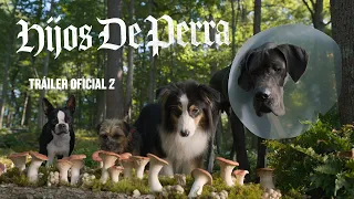 Hijos de perra – Tráiler oficial 2