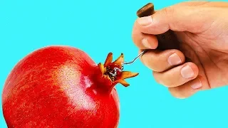 24 LIFEHACKS FÜR OBST