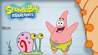 Sponge Bob Size Comparison