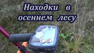 Коп монет в осеннем лесу