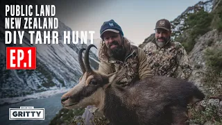 DIY TAHR HUNT PUBLIC LAND NEW ZEALAND