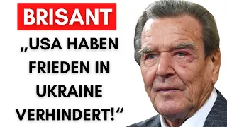 Schröder: Darum sind Friedens-Verhandlungen gescheitert!