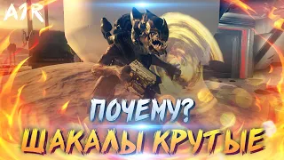 Шакалы (Киг-Яры) из игры Halo | Ковенант | Лор игры Halo Часть 3