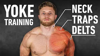 YOKED: The Ultimate Trap, Neck and Delt Workout (Science-Based)