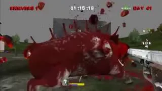 How to kill day 41 pig (Blood and Bacon)
