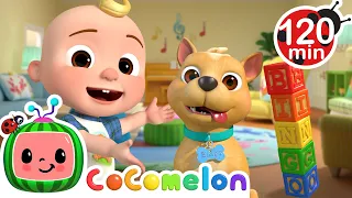 My New Dog, Bingo! | CoComelon | Animals for Kids | Funny Cartoons | Learn about Animals