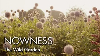 The Wild Garden