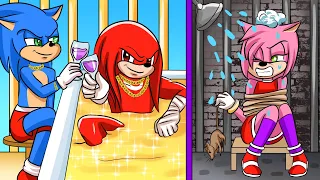 Sonic's Poor Love VS Knuckles's Rich Love - Sonic The Hedgehog 2 ANIMATION | Sonic Life Animations