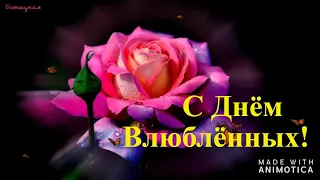 С Днём Влюбленных! 14 февраля. Красивая видео открытка.