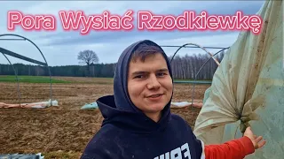 Różowy Skarby Historia wysiania Rzodkiewki @TuneloveLOVE