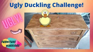 Extreme Dresser Makeover | Ugly Duckling Challenge