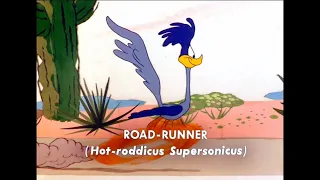 Road Runner: Stop! Look! And Hasten!