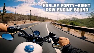 Harley Davidson 48 Morning Ride | Pure Engine Sound