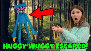 Huggy Wuggy Escaped! Huggy Wuggy And Kissy Missy IRL! Poppy Playtime In Real Life Skit