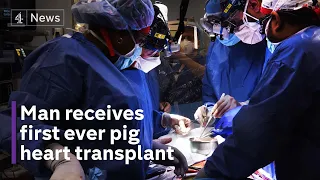 Man gets genetically modified pig heart in world-first transplant