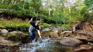 Dry Dropper Fly Fishing for Rainbow Trout | Delatite River, Victoria