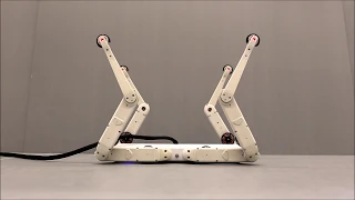 20190829 Quadruped robot Solo recovery behavior