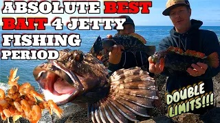 Jetty Fishing Made Easy -BEST BAIT EVER- Oregon Coast Fishing