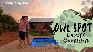 Bushveld Getaway Owl Spot Lodge | Dinokeng Game Reserve