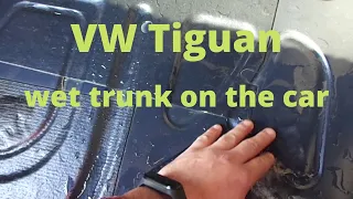 VolksWagen Tiguan | wet trunk on the car | dew on the windows 💧💦💦🚘