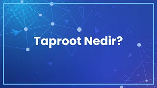 Taproot Nedir? Bitcoin Taproot Güncellemesi Sisteme Ne Katacak?