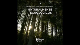 Naturalmente Tecnológicos: Comportamiento de la madera frente al fuego