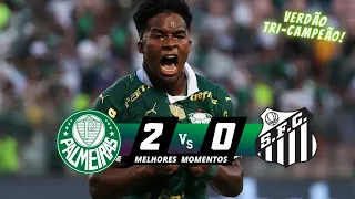 VERDÃO CAMPEÃO! Palmeiras 2 x 0 Santos | Melhores Momentos (COMPLETO) | FINAL PAULISTÃO 2024