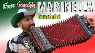 MARINELLA (tarantella) di ENZO SCACCHIA CAMPIONE DEL MONDO DI ORGANETTO folk music. tarantella dance