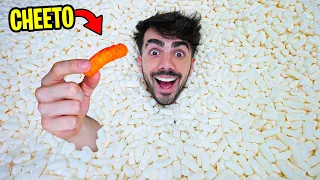 SI ENCUENTRAS EL CHEETO REAL EN LA PISCINA DE CHEETOS GANAS!