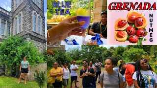 GRENADA 2023 - Visiting The NUTMEG Factory // THE TOWER ESTATE