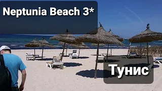 Отель Neptunia Beach 3* Tunisia Monastir море, номер, еда, территория