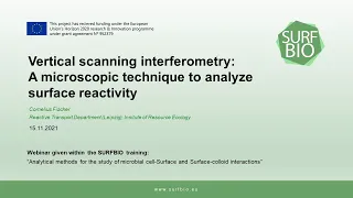Vertical scanning interferometry: a microscopic technique to analyze surface reactivity