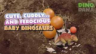 Dinosaur Babies... Cute, Cuddly, and Ferocious Baby Dinosaurs | Dino Dana Best Of