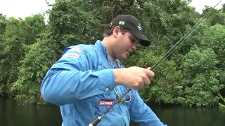 Pescaria de pacus gigantes no Rio Cururu parte 01