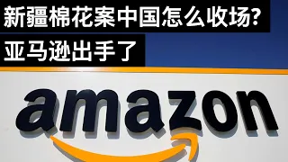 新疆棉花案中国怎么收场? 亚马逊出手了/下周前瞻(字幕)/王剑每日观察/20210327