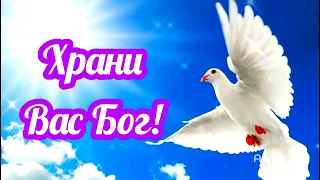 Храни Вас Бог! Добрый вечер!