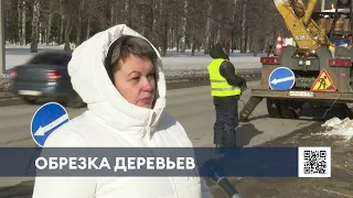 В Нижнекамске продолжается работа по обрезке деревьев